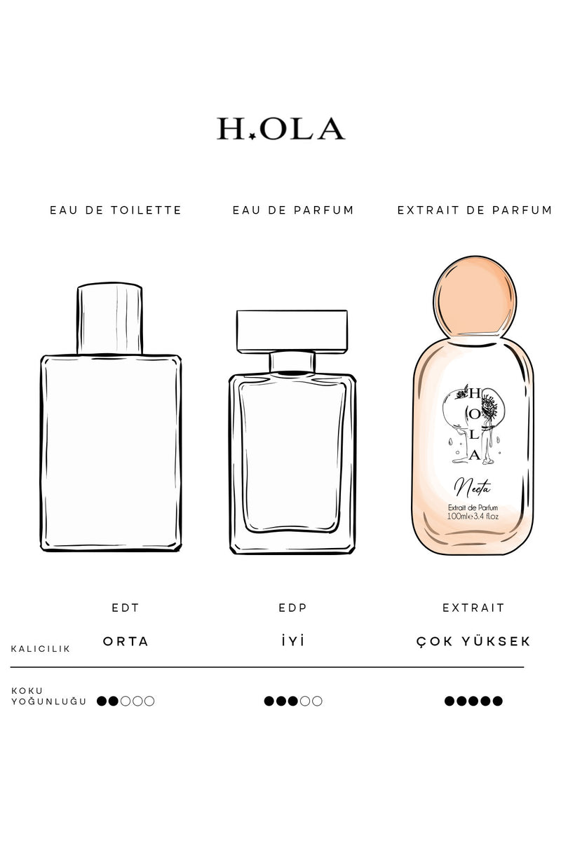 Necta Exrait de Parfum | Kadın Parfümü 100 mL