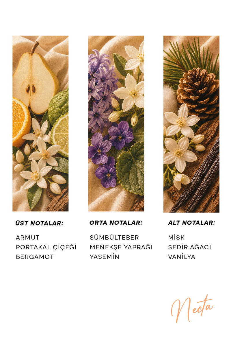 Necta Exrait de Parfum | Kadın Parfümü 100 mL