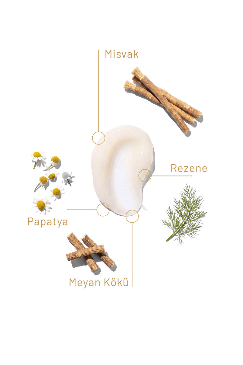 Misvak Diş Macunu 75 Ml